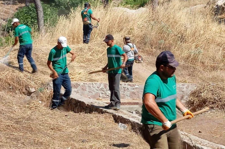 Yangınlara karşı Ayvalık’ta kuru ot temizliği aralıksız sürüyor