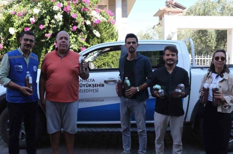 Yangınların ardından yeşil mücadele: Marmaris’ten Antalya’ya tohum desteği
