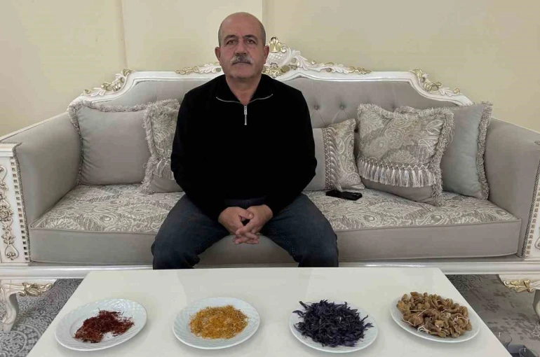 "Yapamazsın" diyenlere inat yetiştirdiği safran ve salebi evinde tüketiyor