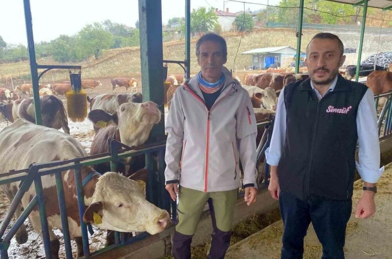 Yapay zeka süt hayvancılığında çığır açtı