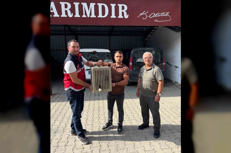 Yaralı halde bulunan leylek, koruma altına alındı