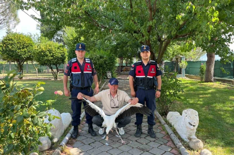 Yaralı leylek için seferber oldular