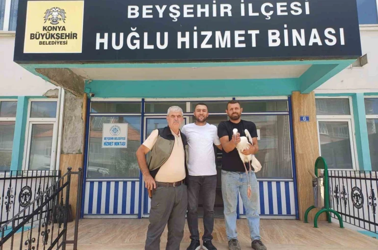 Yaralı leylek koruma altına alındı
