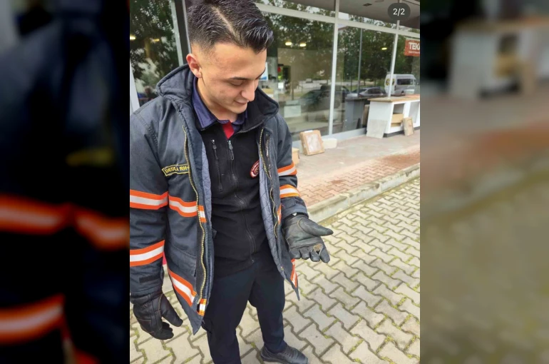Yaralı yarasa koruma altına alındı