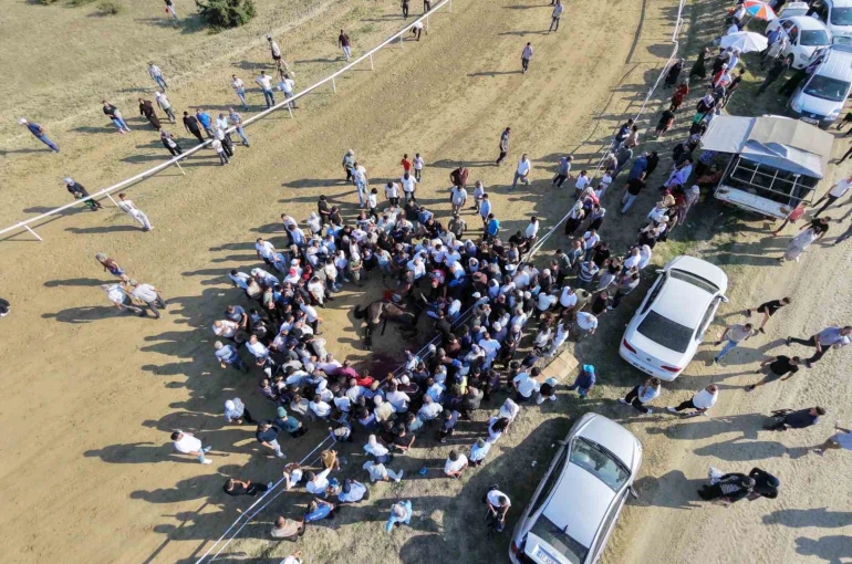Yarışta çarpışan iki at telef oldu, jokey son anda atlayarak kurtuldu