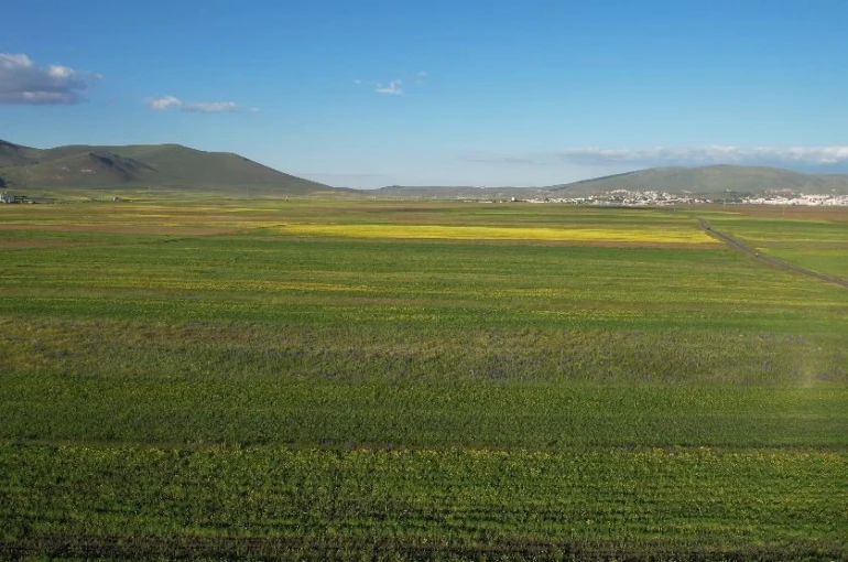 Yazın renk cümbüşüne bürünen Ardahan ovası havadan görüntülendi