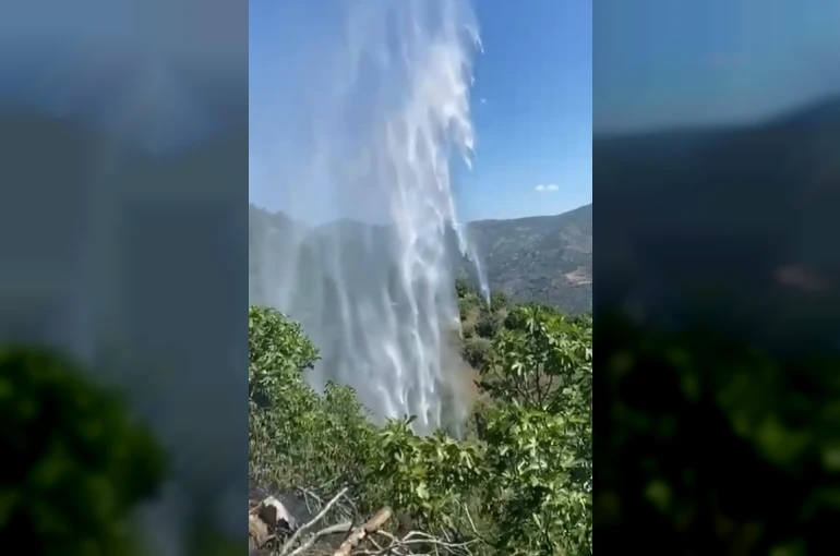 Yemek ısıtmak için yaktığı ateş incir bahçesini kül etti