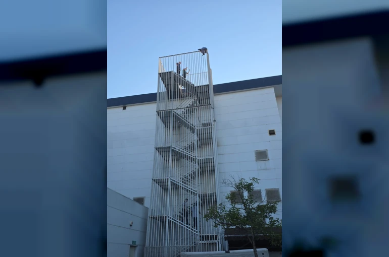 Yeni bir dilenme metodu ortaya çıktı