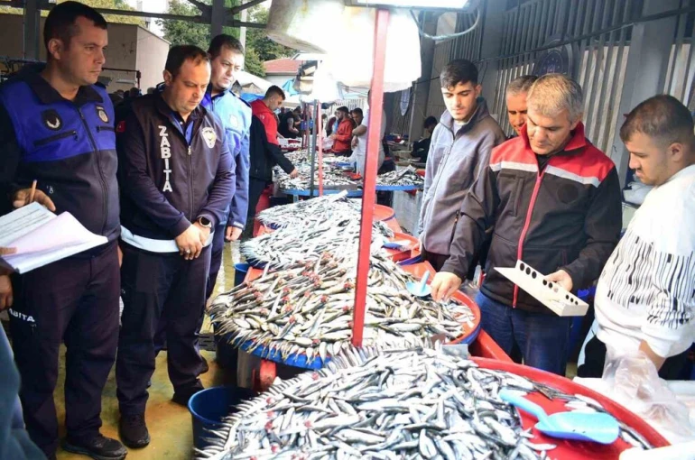 Yenişehir’de balık pazarı’na sıkı denetim