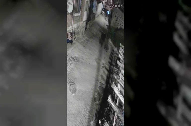 Yerleşim alanına inen ayılar köy sakininden korkup kaçtı