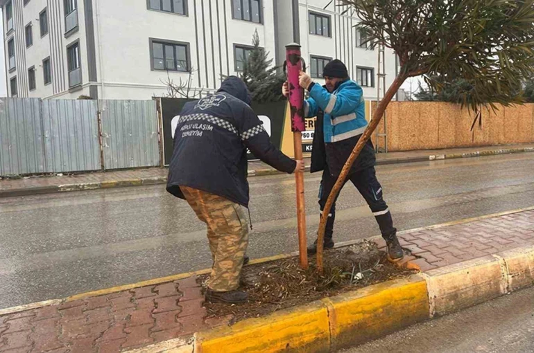 Yeşil alanlarda mevsimlik bakım ve güçlendirme seferberliği