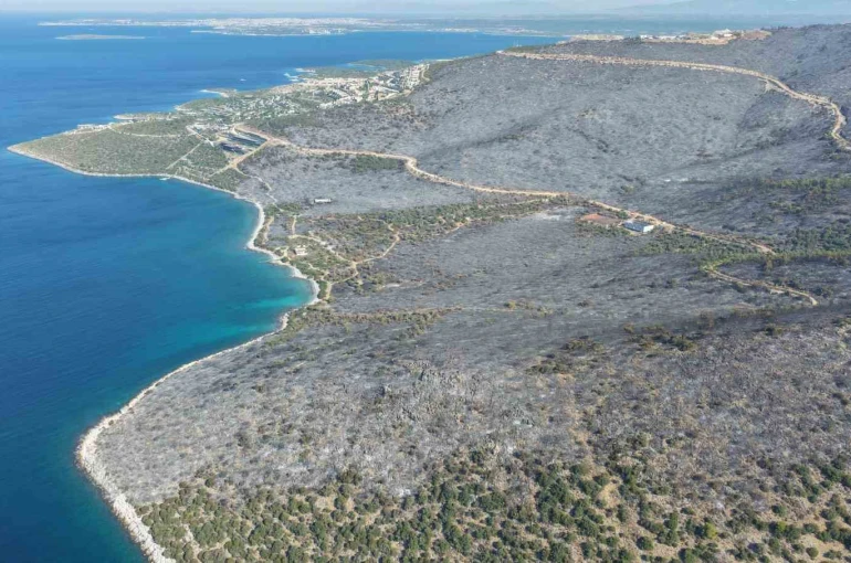 Yeşille maviyi orman yangını ayırdı