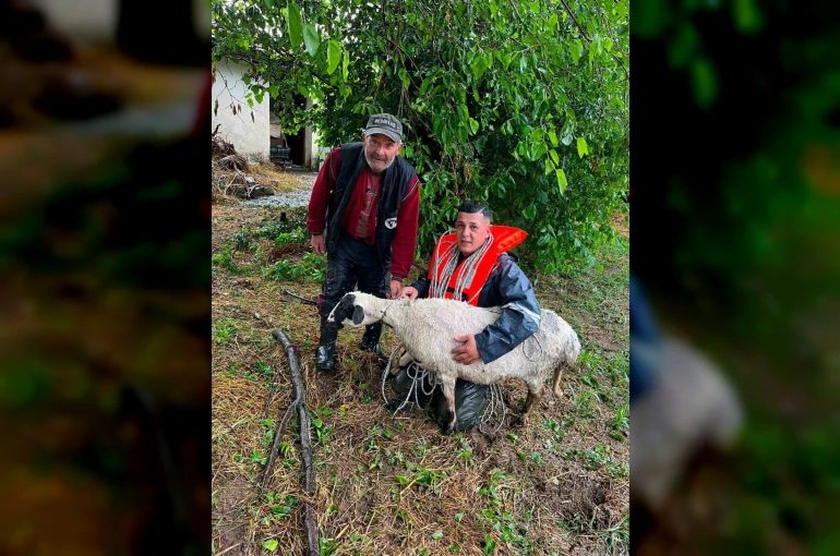 Yoğun yağış nedeniyle suda mahur kalan koyun kurtarıldı