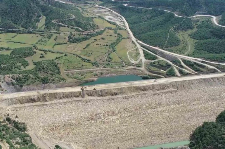 Yok olma tehlikesi bulunan ’bağ havacivası’ bitkisi baraj suları altında kalmaktan kurtarıldı