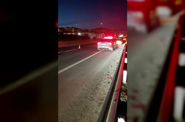 Yola çıkan atlar zincirleme kazaya neden oldu