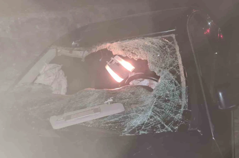 Yola çıkan ineğe çarpan araç takla attı: 6 yaralı