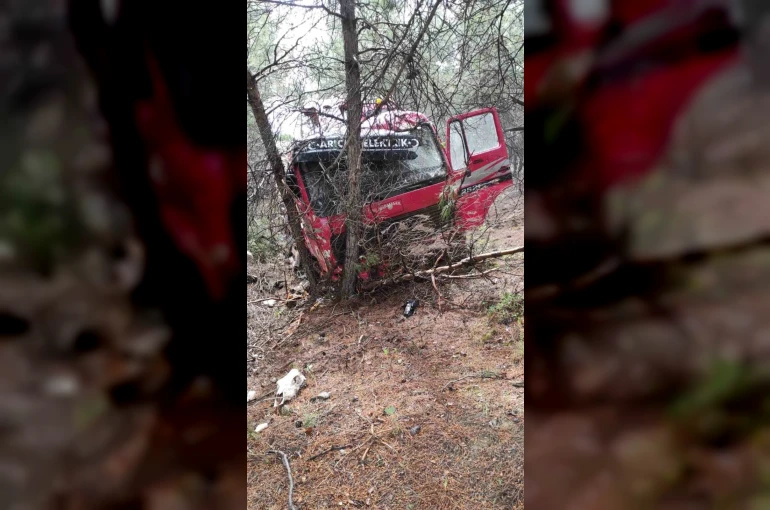 Yoldan çıkan vinç ormanlık alana daldı