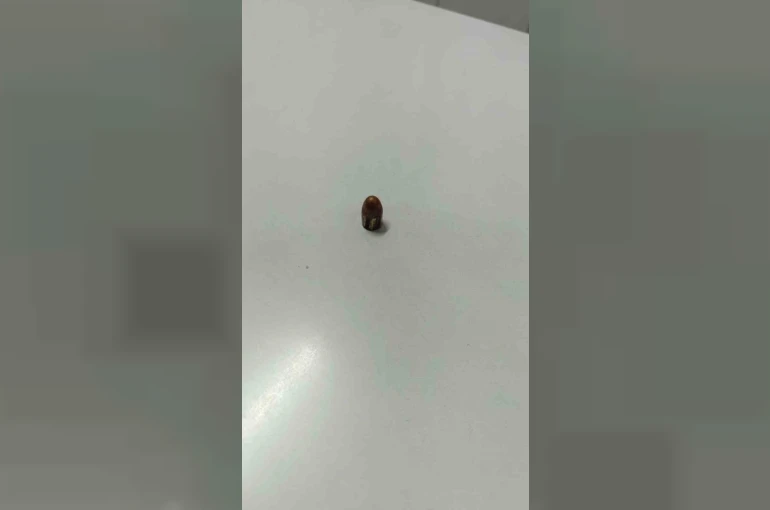 Yorgun mermi iş yerine isabet etti