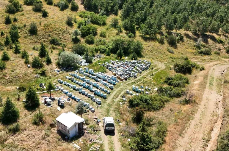 Yozgat’ın zengin bitki örtüsü arıcılara umut oldu