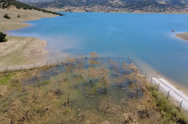 Yozgat’ta badem ağaçları sular altında kaldı