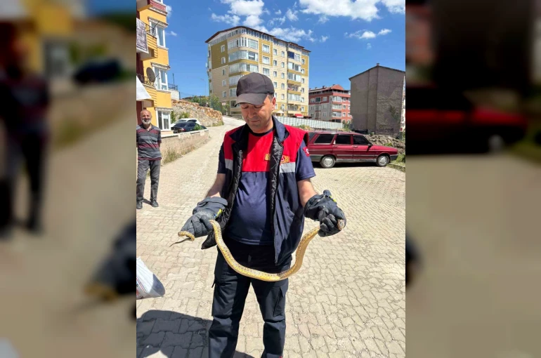 Yozgat’ta otomobile giren yılanı itfaiye ekipleri çıkardı