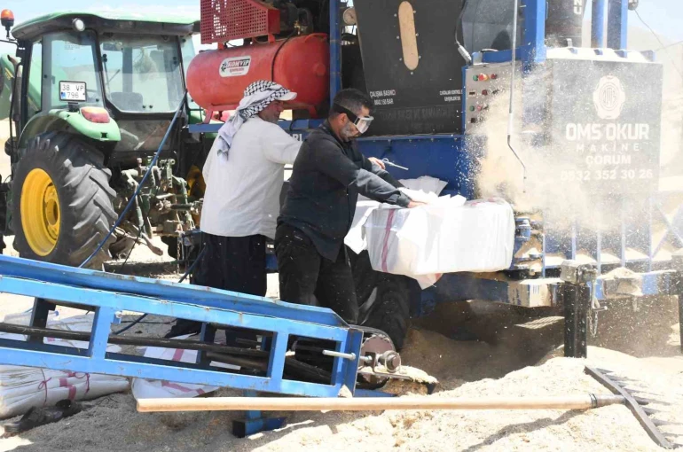 Yozgat’ta saman mesaisi: Tozun içinde ekmek mücadelesi