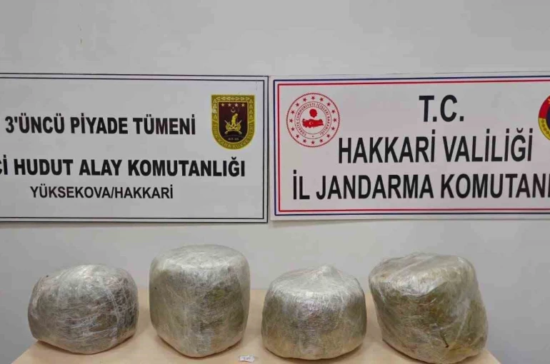 Yüksekova’da 11 kilo skunk ele geçirildi