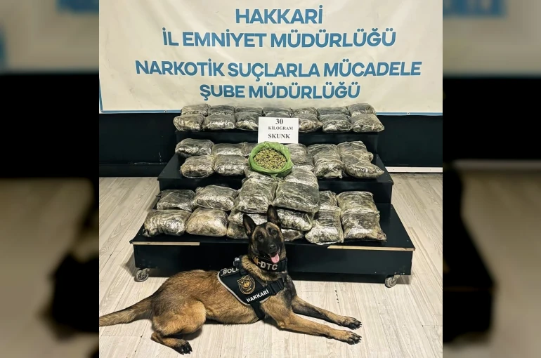 Yüksekova’da 30 kilo Skunk ele geçirildi: 2 şüpheli gözaltında