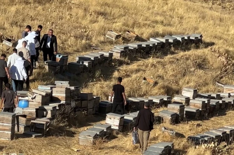 Yüksekova’da bal hasadı başladı