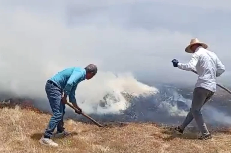 Yüksekova’da bin balya ot kül oldu