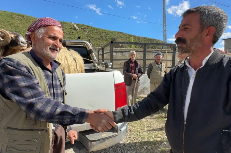 Yüksekova’da hayvan pazarında bayram hareketliliği