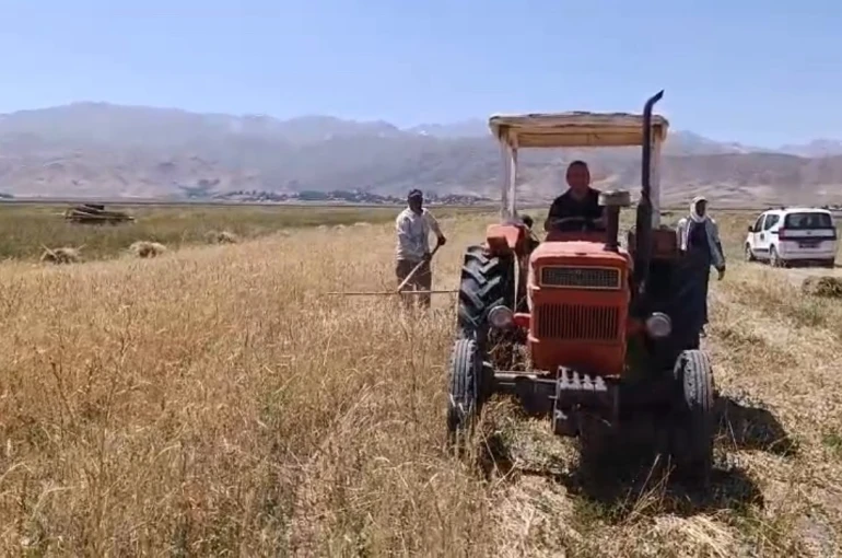 Yüksekova’da sıcak havaya rağmen çiftçilerin hasat mesaisi başladı