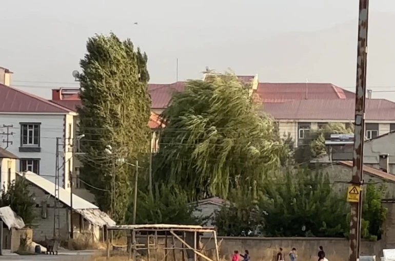 Yüksekova’da şiddetli rüzgar hayatı olumsuz etkiledi