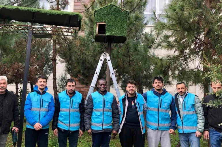 Yurt öğrencileri kuşlar için ev yaptılar