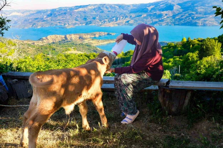 Zehra’nın hayvan sevgisi sosyal medyada ilgi odağı oldu