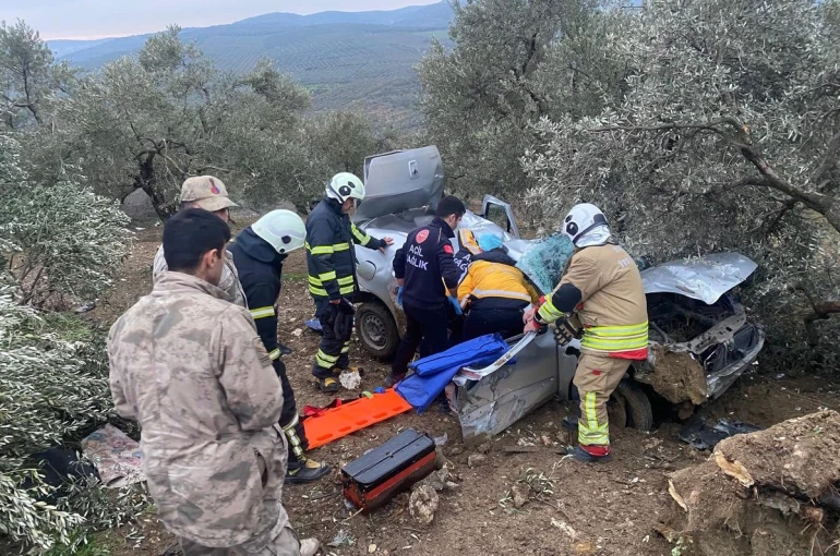 Zeytinliğe uçan otomobilin sürücüsü yaralandı