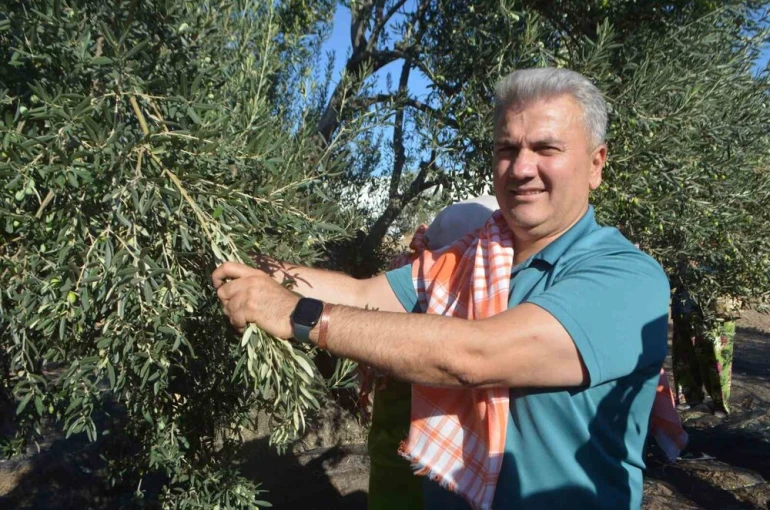 Zeytinyağında AB tescili için çabalar sürüyor
