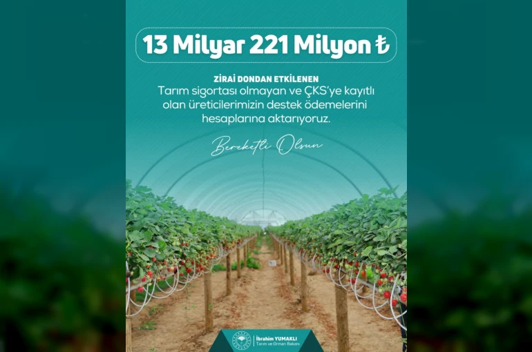 Zirai dondan etkilenen çiftçilere 13 milyar 221 milyon lira destek ödemesi yapılacak