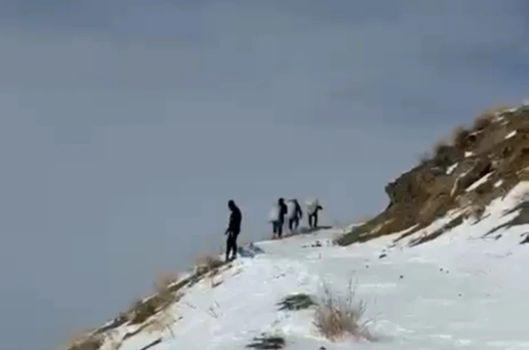 Zirveye şefkat tırmanışı: Yüksekova’da dağ keçileri için metrelerce karı aştılar