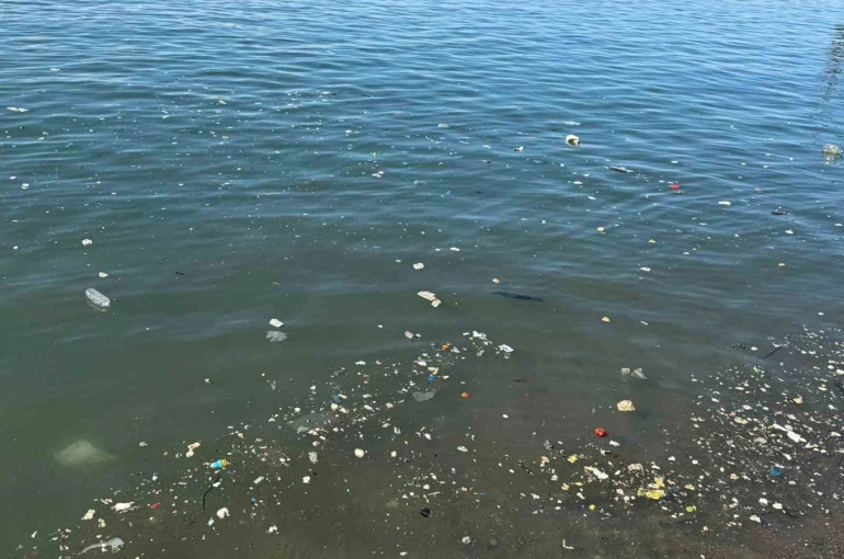 Zonguldak sahilinde çöp tepkisi
