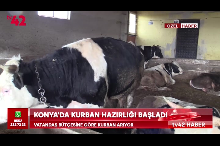Konya’da kurban hazırlığı başladı